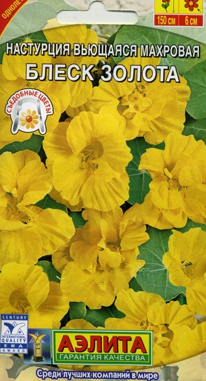 ��������� ����� ������ �������� ��������