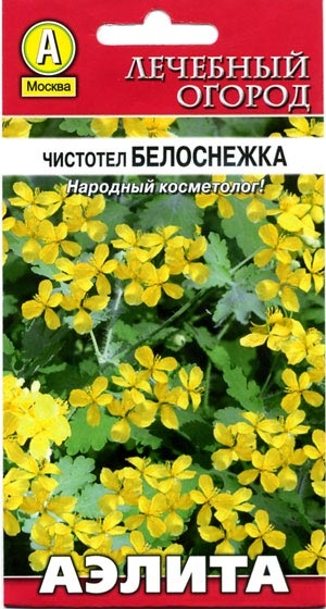 Чистотел Белоснежка