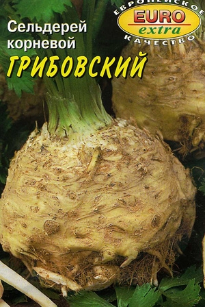 Сельдерей корневой Грибовский