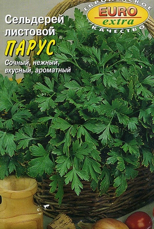 ��������� �������� �����