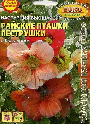 Настурция Райские пташки Пеструшки вьющаяся