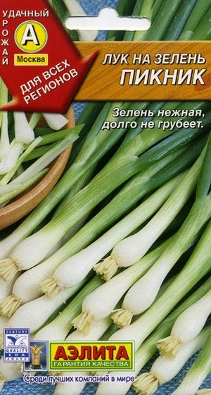 ��� ����� ������