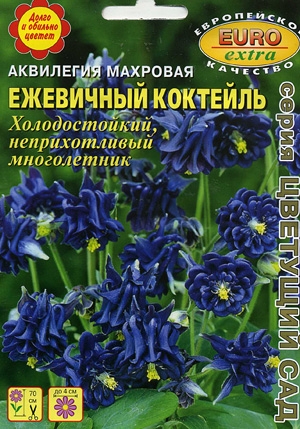 Аквилегия Ежевичный коктейль махровая