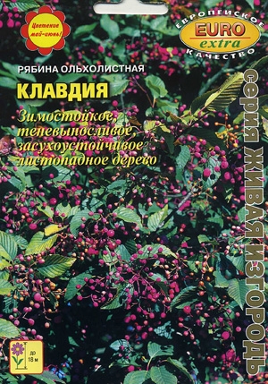 Рябина Клавдия ольхолистная