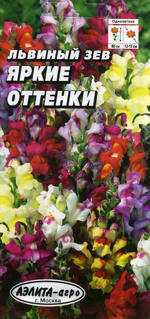 Львиный зев Яркие оттенки высокорослый, смесь