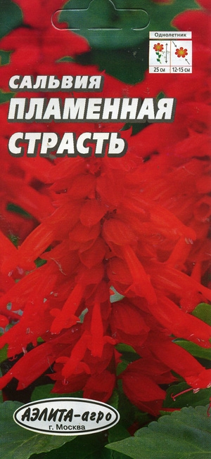 Сальвия Пламенная страсть сверкающая алая