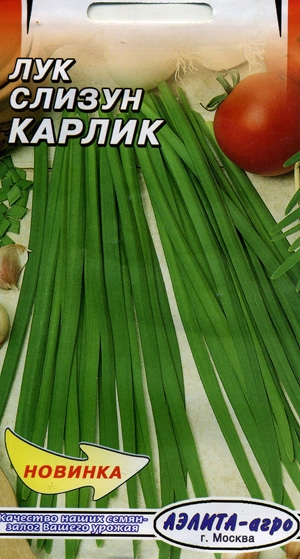 ��� ������ ������