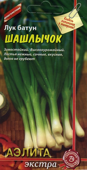 ��� ����� ��������