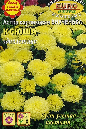 Астра Внученька Ксюша