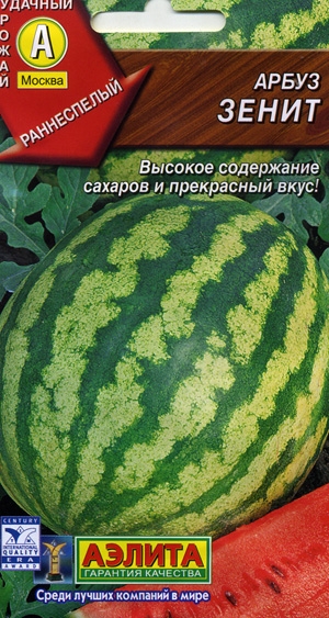 Арбуз Зенит