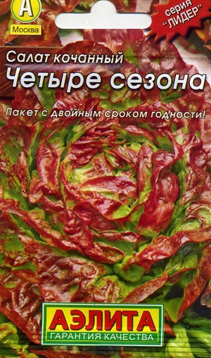 ����� ������ ������ ��������