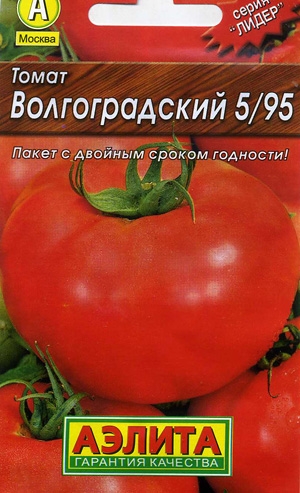   5/95