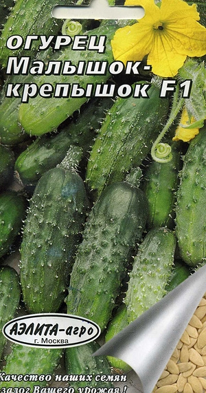  - F1 ()