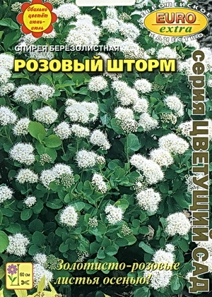 Спирея Розовый шторм березолистная