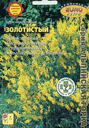 Дрок Золотистый красильный