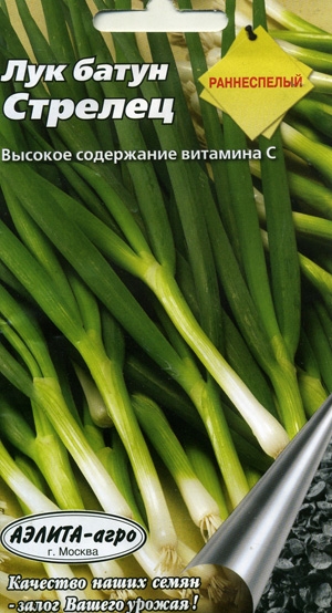 ��� ����� �������