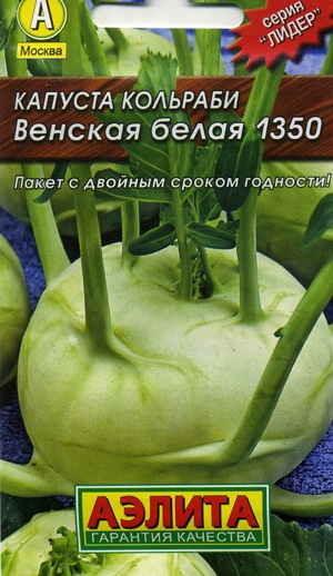     1305