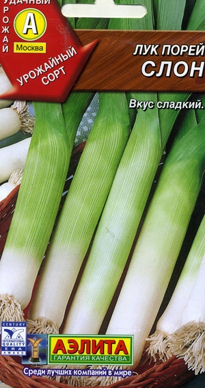 ��� ����� ����