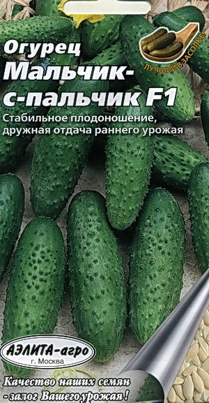  -- F1