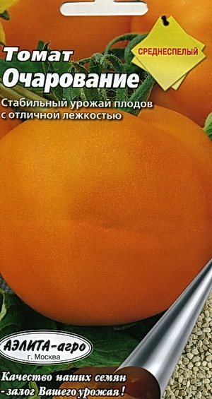 Томат Очарование