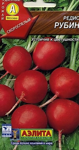 Редис Рубин