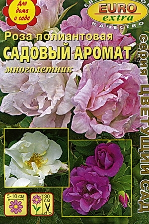 Роза Садовый аромат полиантовая