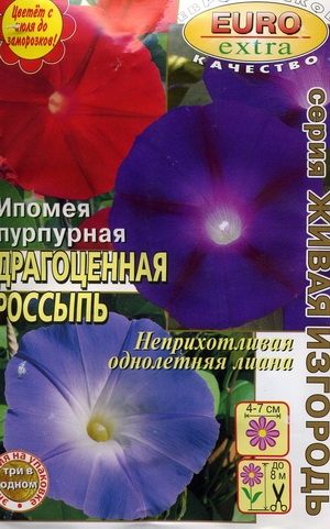 Ипомея Драгоценная россыпь пурпурная, смесь