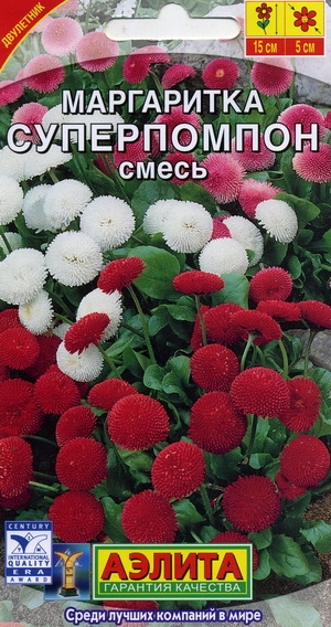 Маргаритка Cуперпомпон, смесь