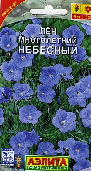 ˸  