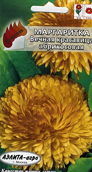 Маргаритка Вечная красавица абрикосовая