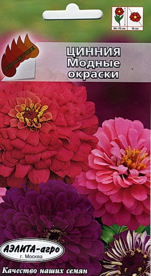  ()  , 