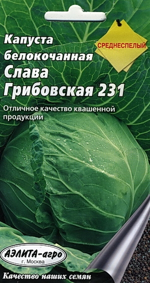     231