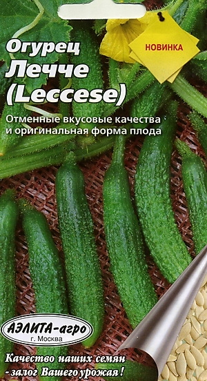  (LECCESE)