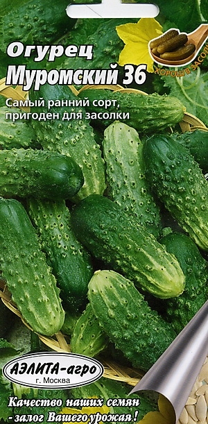   36