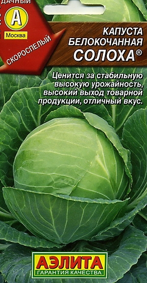 Капуста белокочанная Солоха