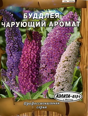 Буддлея (будлея) Чарующий аромат