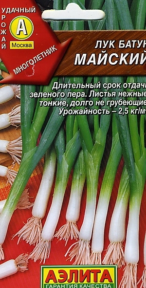 ��� ����� �������