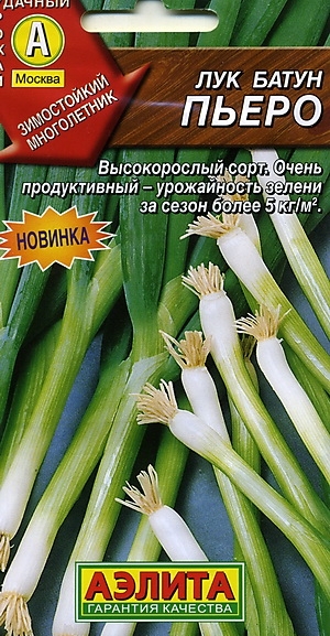 ��� ����� �����