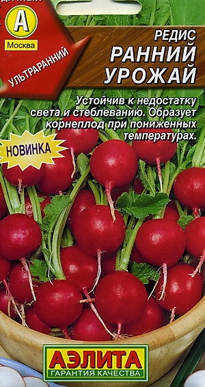 Редис Ранний урожай