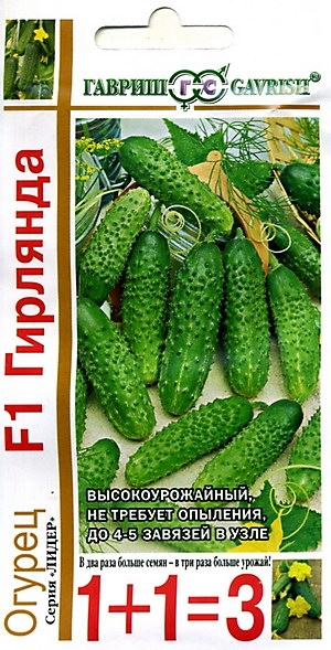   F1