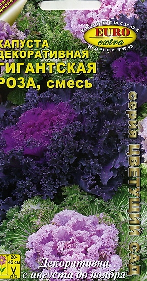Капуста декоративная Гигантская роза, смесь