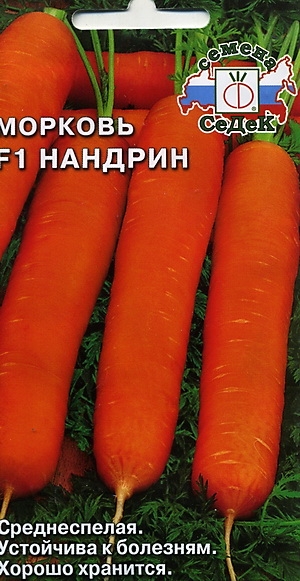   F1