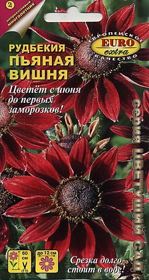 Рудбекия Пьяная вишня волосистая