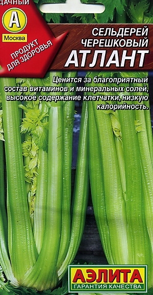 ��������� ���������� ������