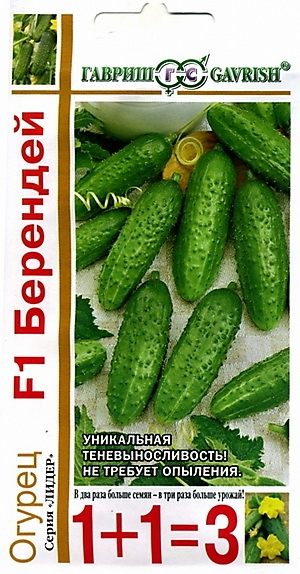   F1