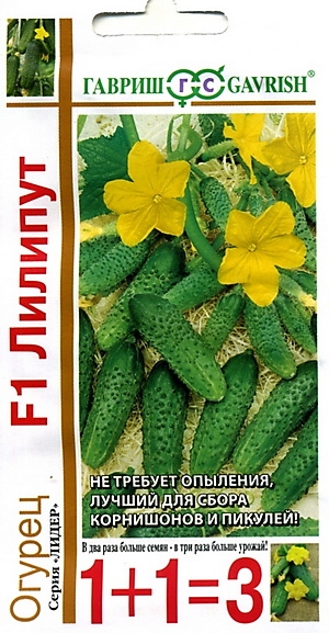   F1