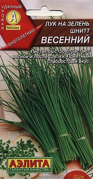 Лук на зелень шнитт Весенний