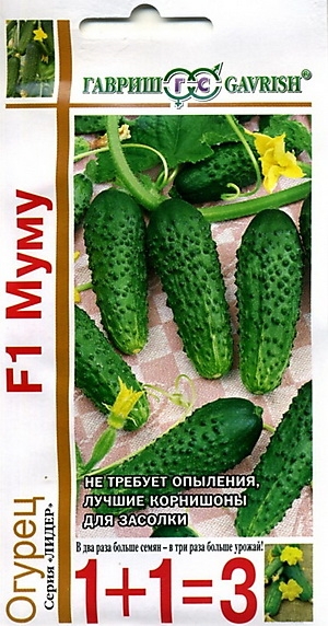   F1