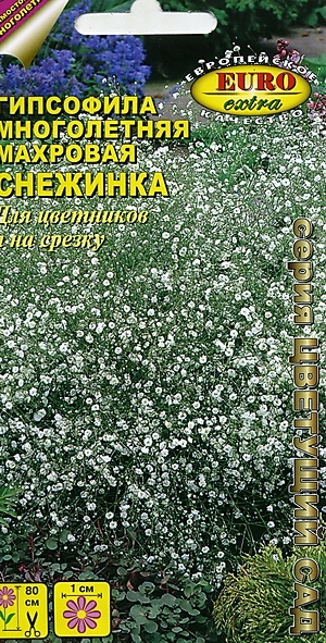 Гипсофила Снежинка