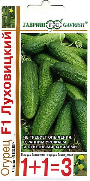   F1